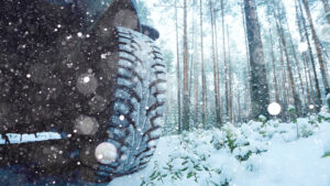 C11 Dienstwagen Herbst & Winter